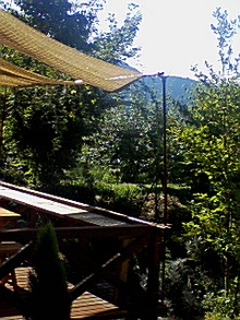 080822_0800~01.jpg