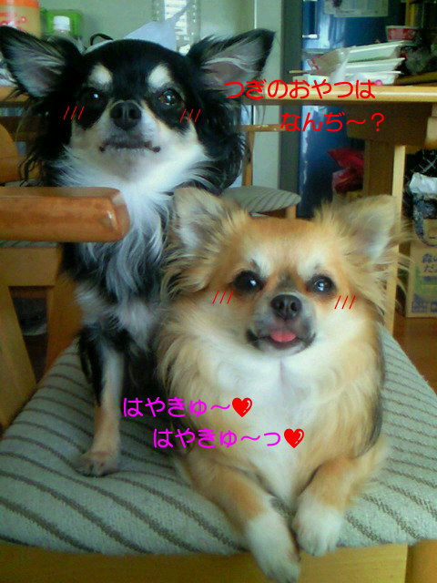 おこづかいの行方･･･