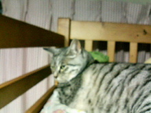 200703290053000.jpg