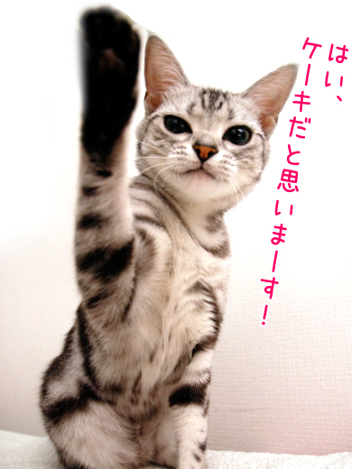 バンビ&ヒメ