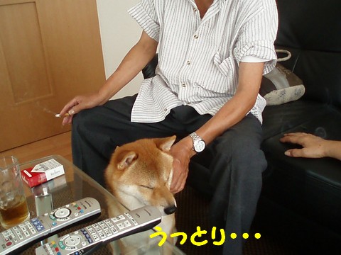 うっとり