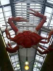大阪のカニ