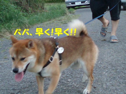 早く