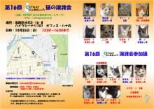 10.26猫里親会