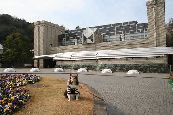 2008年02月のブログ|愛犬アンの成長日記