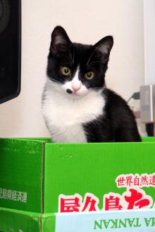 産直