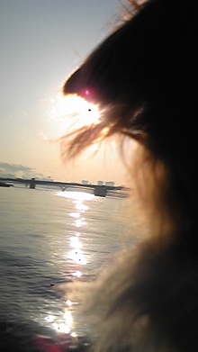 ☆ネイルセラピストayaのNAIL日記☆-090220_160932.jpg