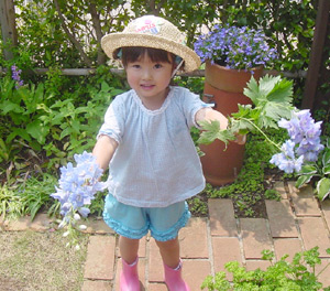 garden3