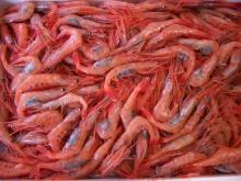 魚屋じゅんちゃん！　スーパー店長への道☆