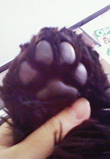 200703161200000.jpg