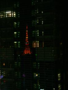 Sanctuary~幸せの黄色い小鳥~
