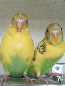 20050919_1