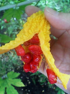 20080730092202.jpg