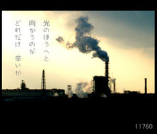 hikari