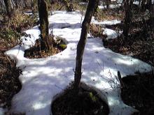 袴腰岳　残雪