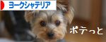 にほんブログ村 犬ブログ ヨークシャーテリアへ