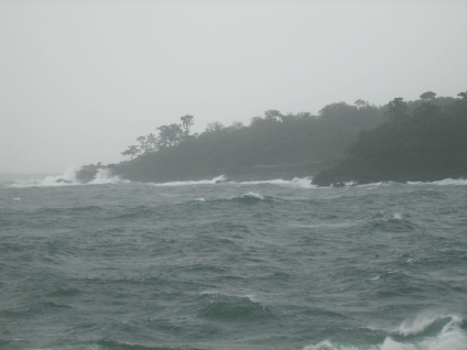 台風０4