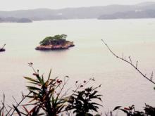 shima6