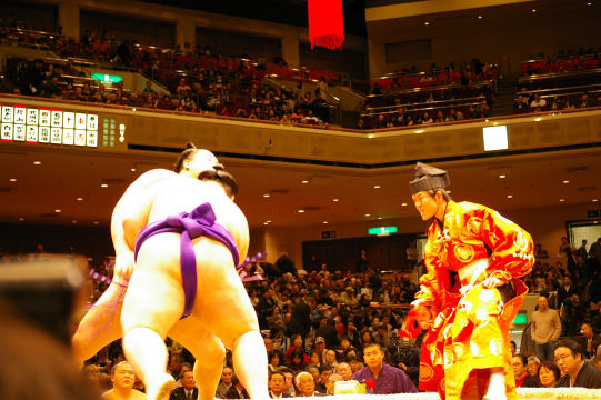 sumo3