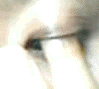 一発ゲイ