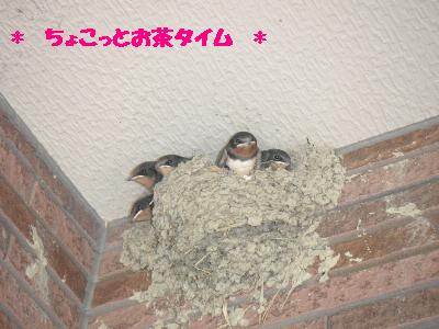 200706290228.JPG