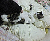 ・・・Zzzz