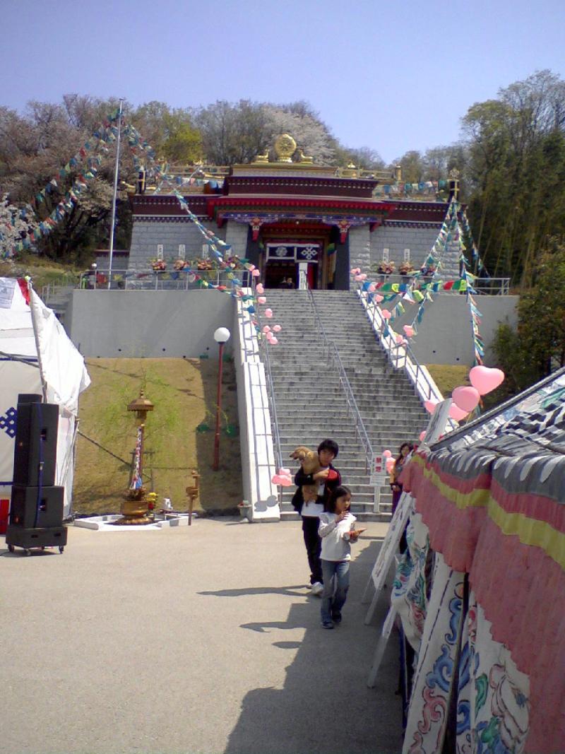 花祭りで、ティン・ティンに会いました。