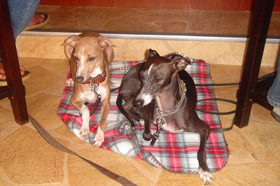 ＴＩＮＡるか♪♪