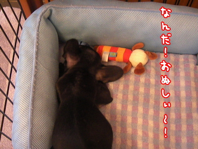 なに?なに?