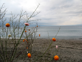 2008　どんど焼き