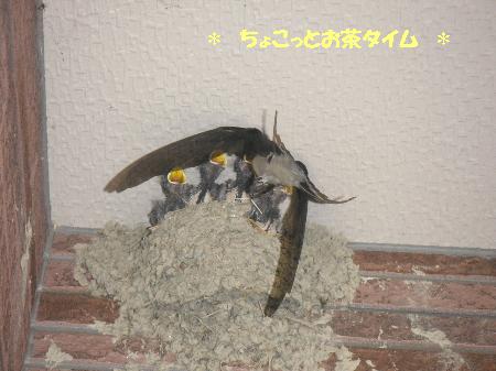 200706250210.JPG