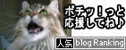 人気ブログランキングへ
