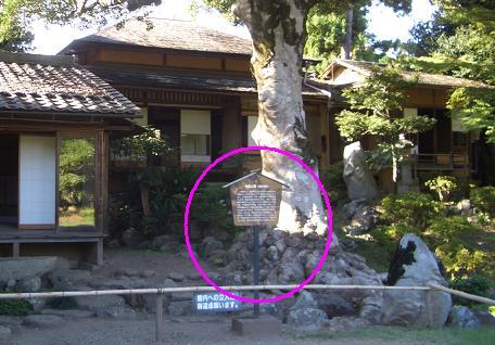 近江 マツイホウム 一級建築士日記-地震の間の解説板