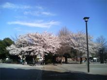 公園