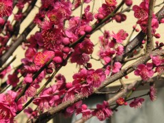 PICT0113.JPG