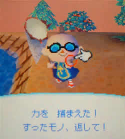 どう森75