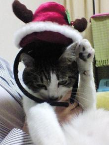 やっ！