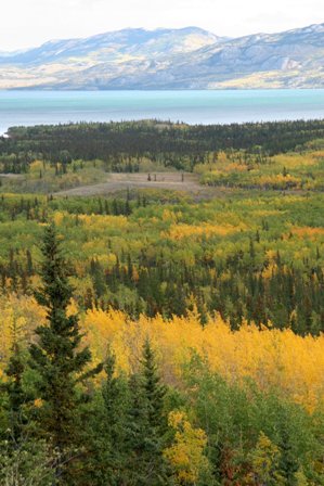 yukon river