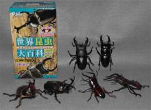 昆虫１