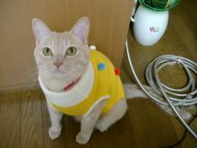 ８．９．１０…シビル&dodici&Treize