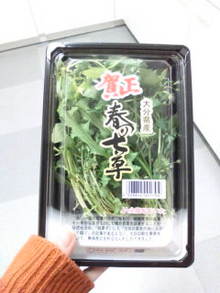 Ｃｈｉёブロ-20090107180434.jpg