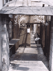 nakanishi