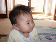 P4210018.png