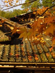 kyoto1