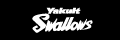 YS