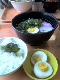 ネギうどん
