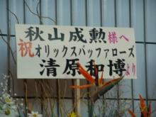 お花です