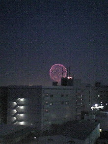 080802_1912~02.JPG