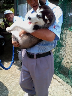 。。。  らぶろぐ  。。。-F1000175.jpg