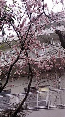 20080324153732.jpg